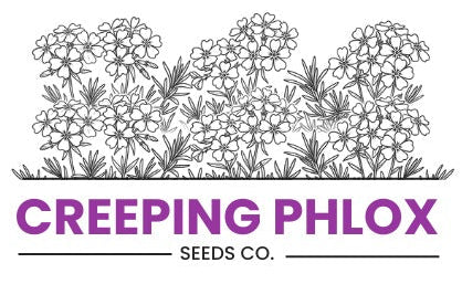 Creeping Phlox Seeds™